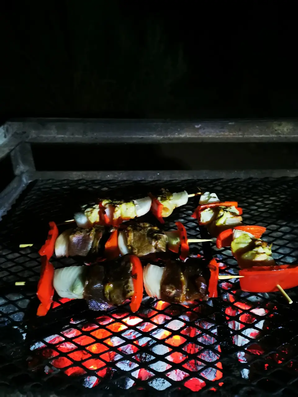 IMG_20220619_201134.jpg