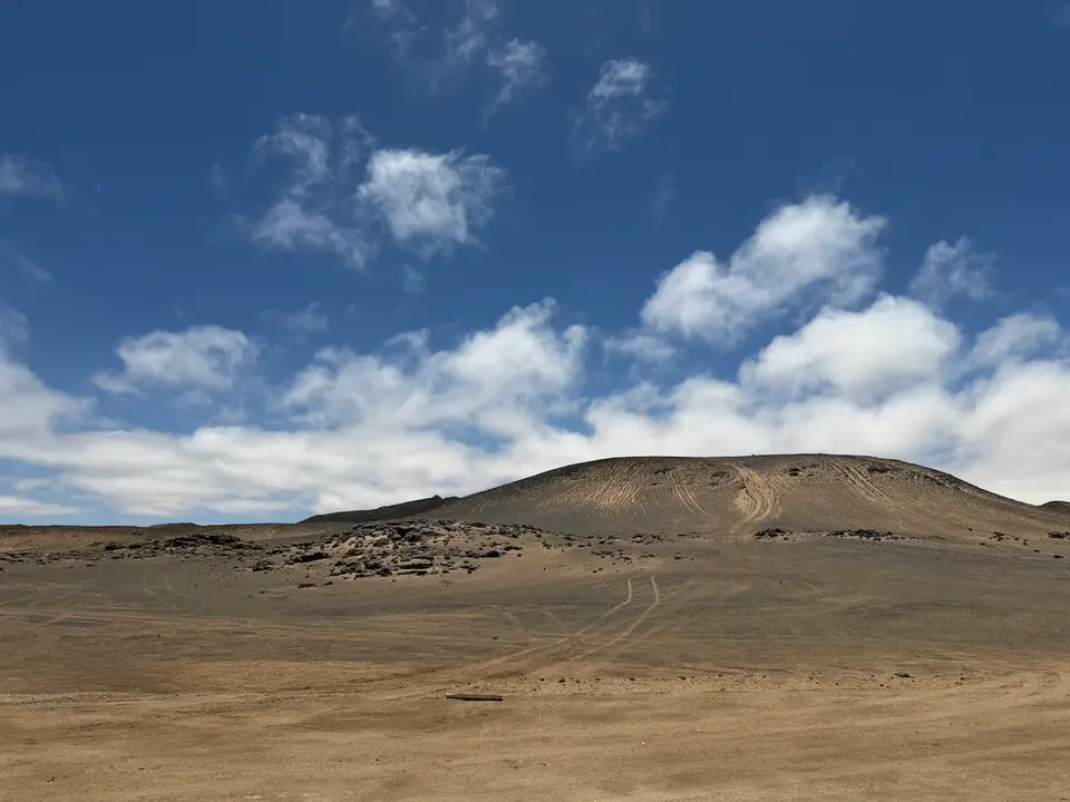 IMG_6321.jpeg