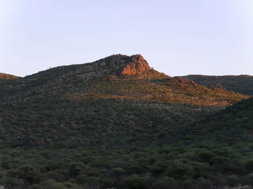 1650.JPG