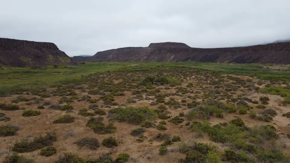 02_04DJI_0374.JPG