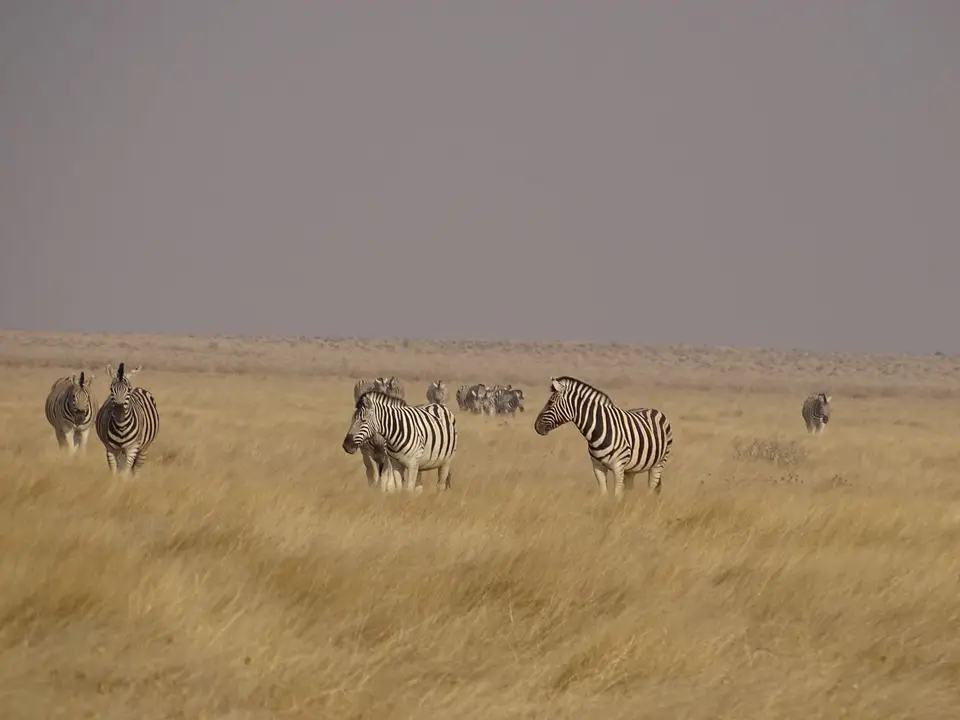 DSC05324.JPG