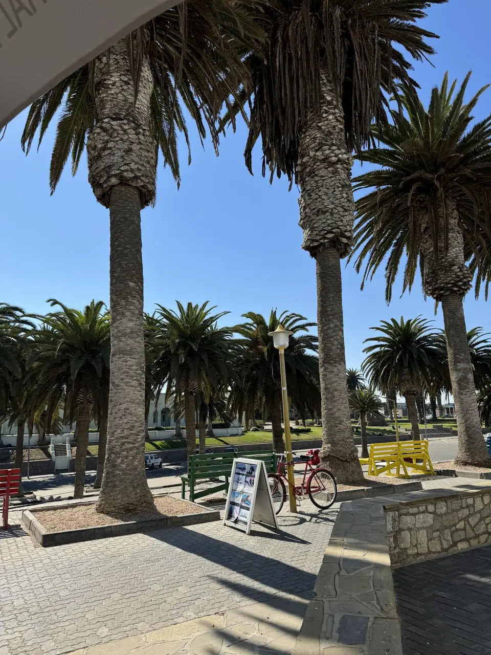 IMG_6368-2.jpeg