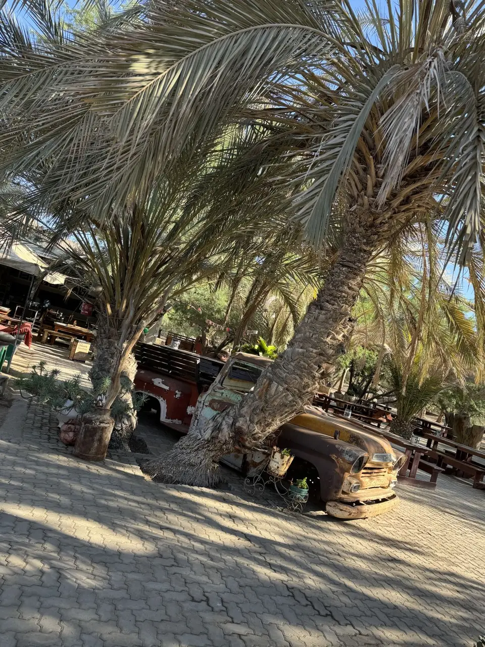 IMG_6491-2.jpeg
