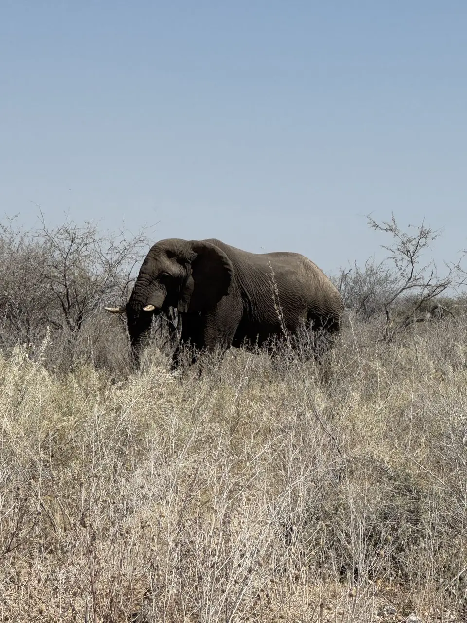 IMG_7464-2.jpeg