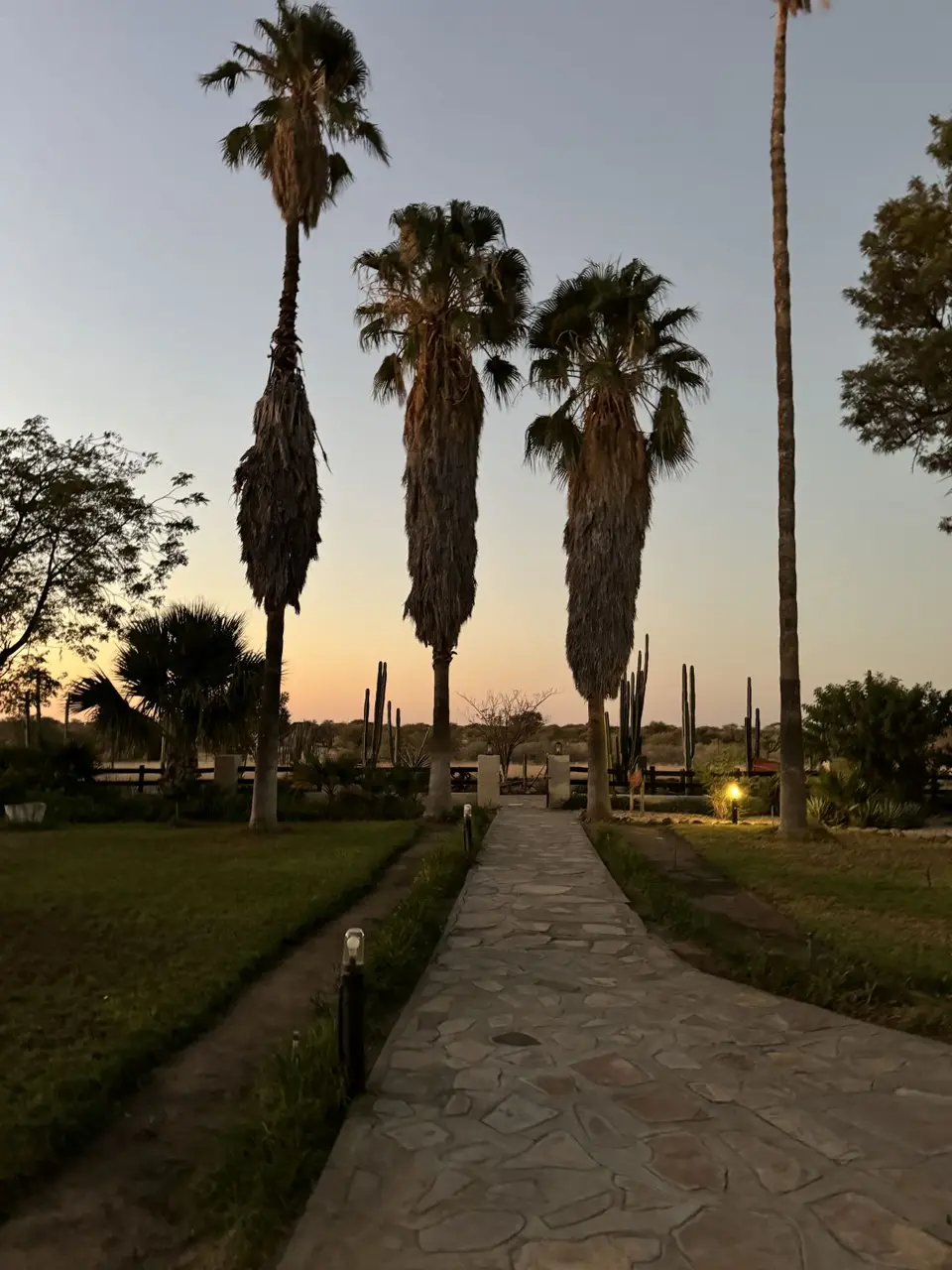 IMG_7548(1).jpeg