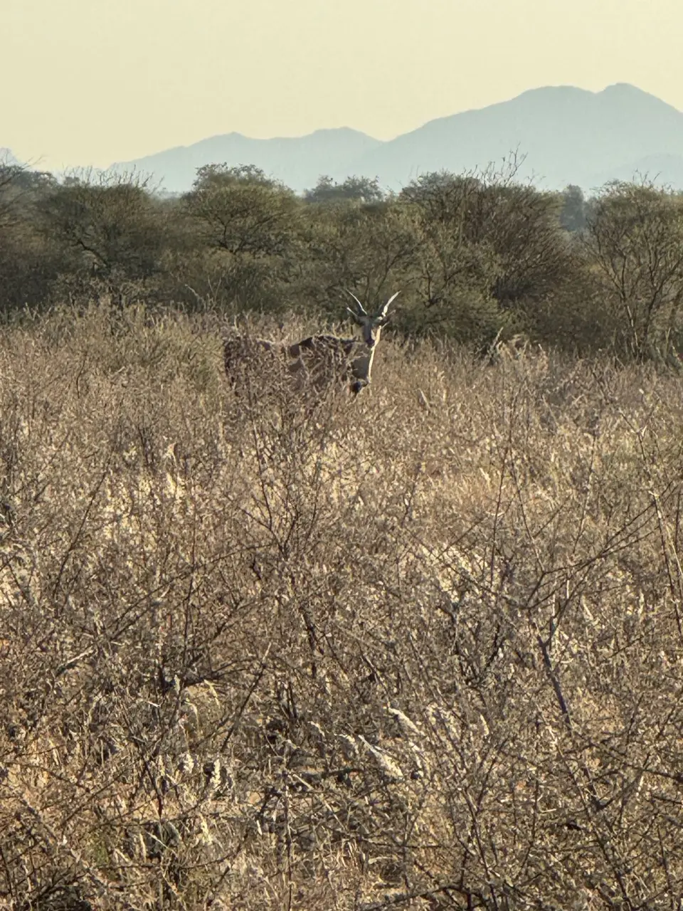 IMG_7573-2.jpeg