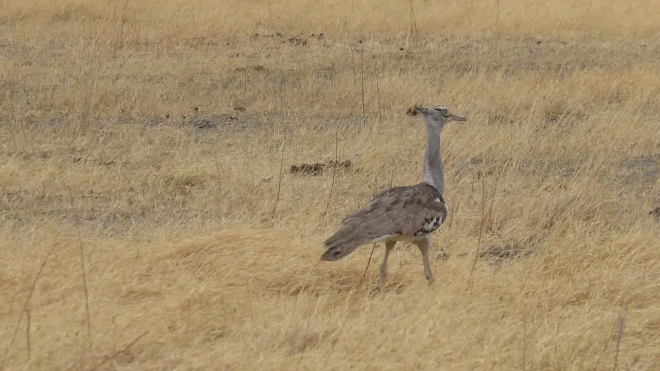 12_09.JPG