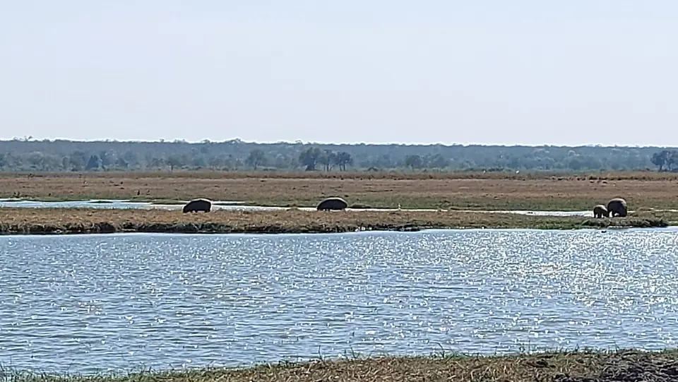 20240906_100918.jpg