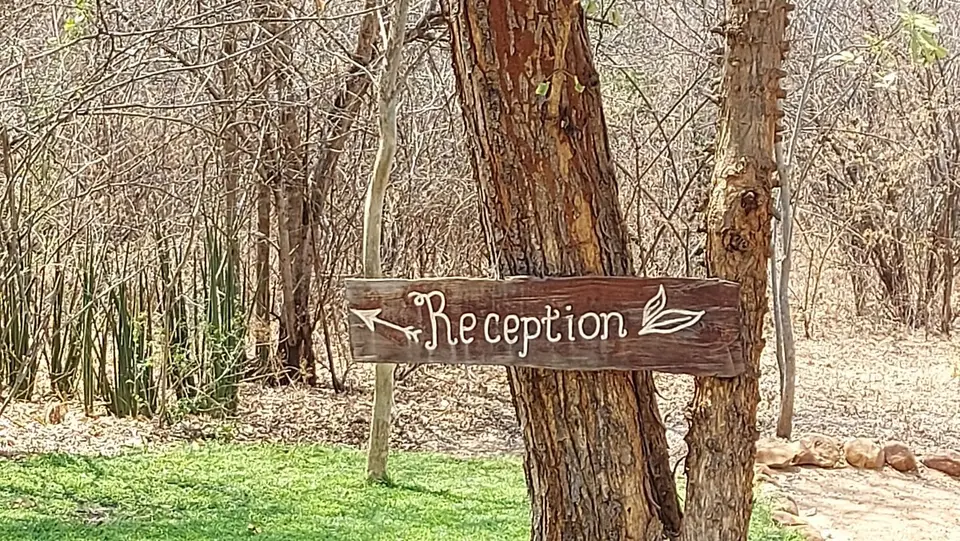20240911_123917.jpg