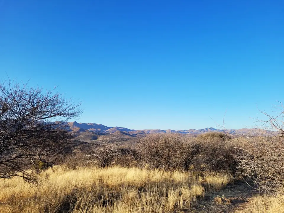 20240918_073056.jpg