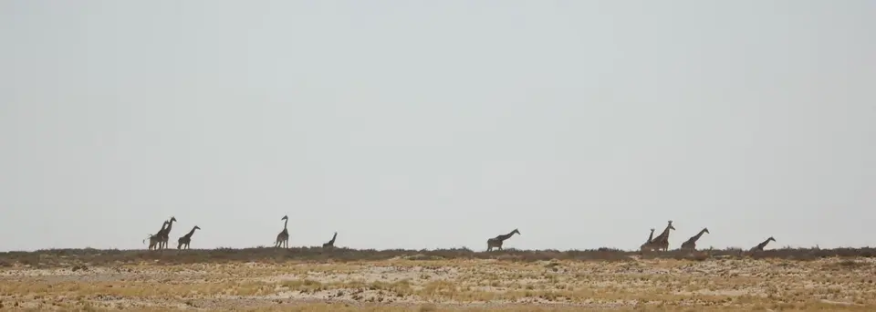 DSC_0211.JPG