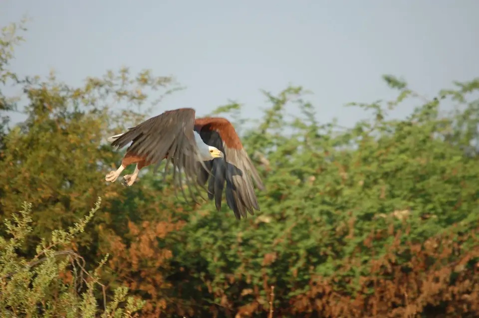 DSC_0609.JPG