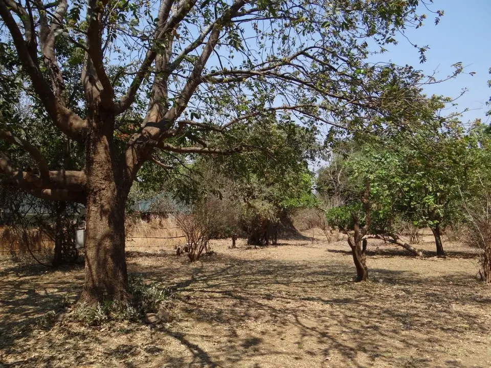 h133d961.JPG