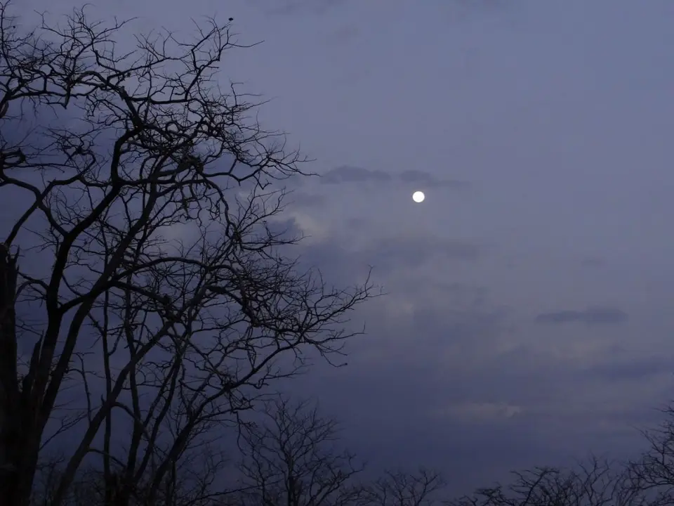 h46593ae.JPG