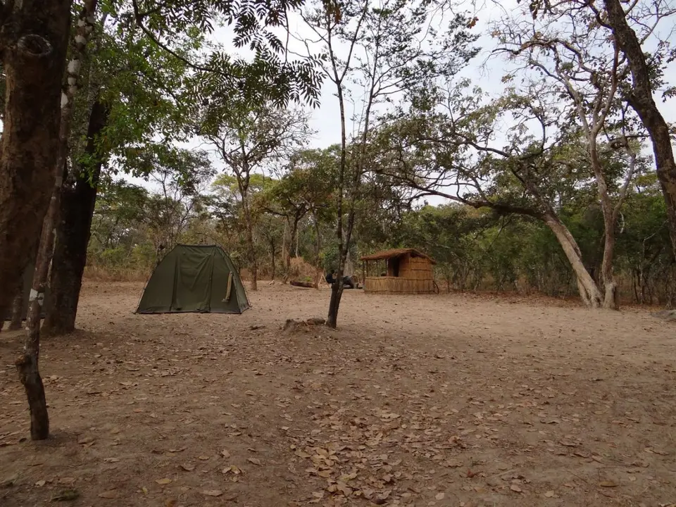 he2177a0.jpg