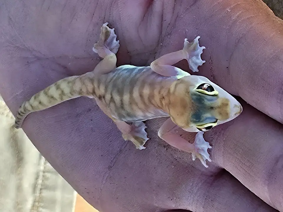 20250517_090046.jpg