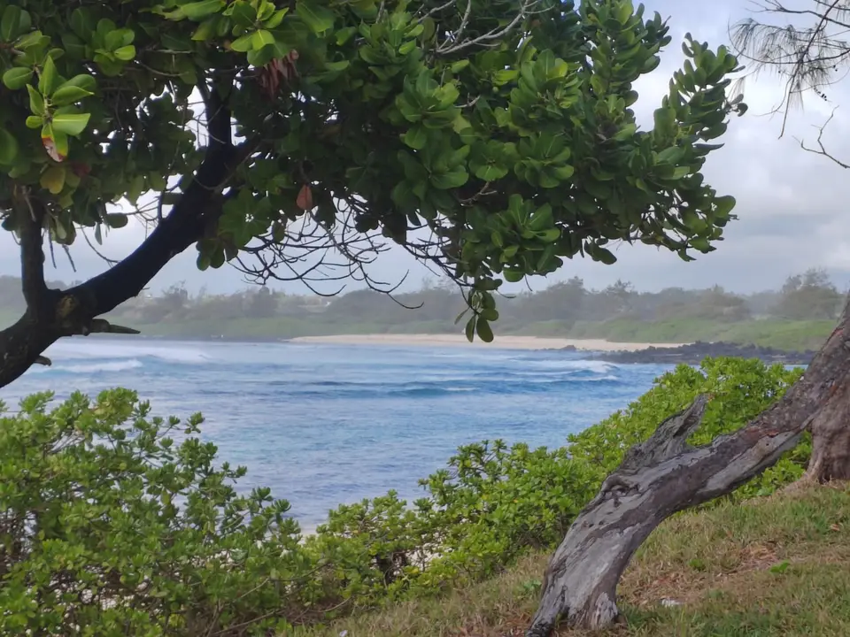 IMG_20241208_081826.jpg