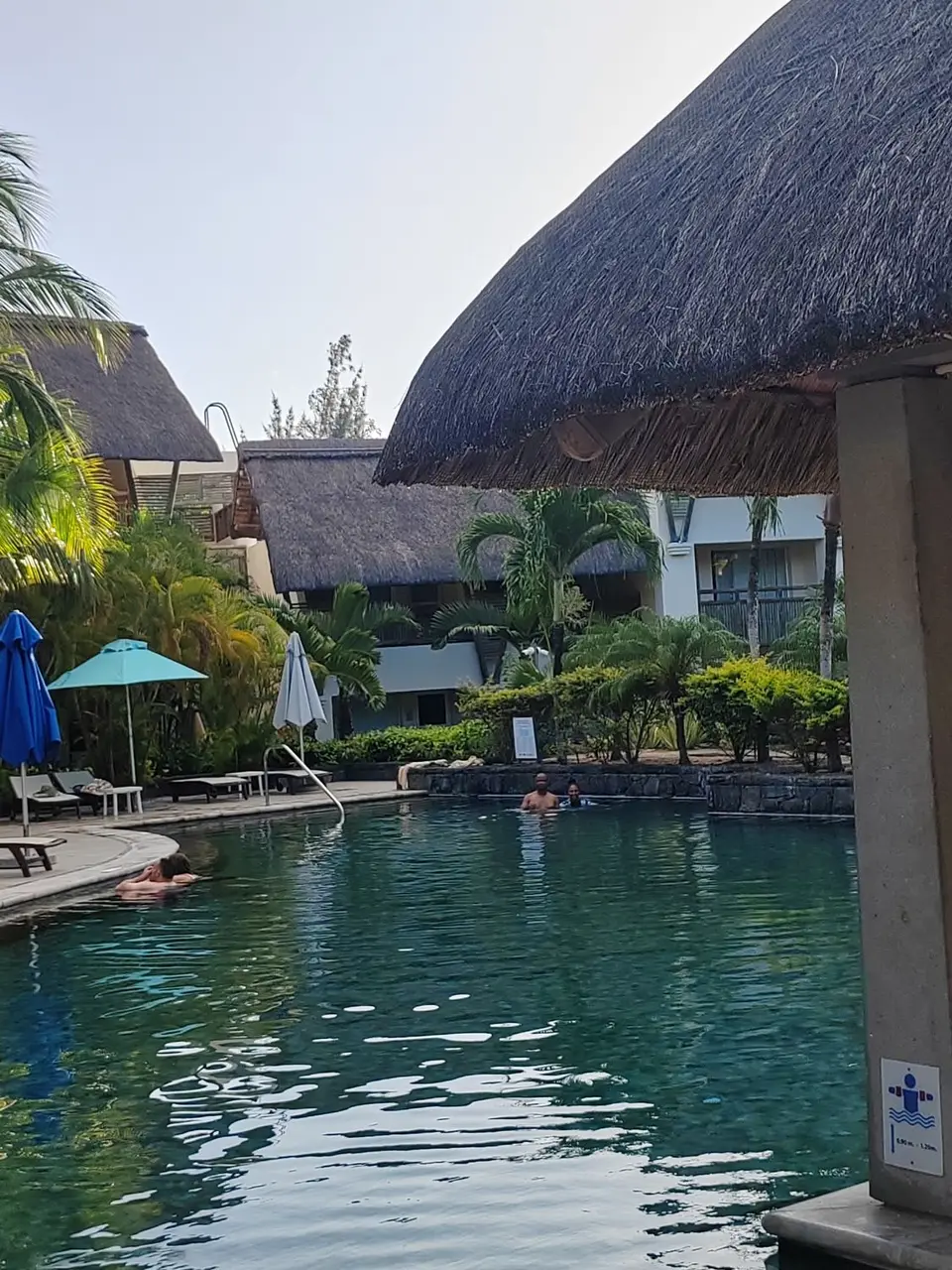 IMG_20241212_173722.jpg