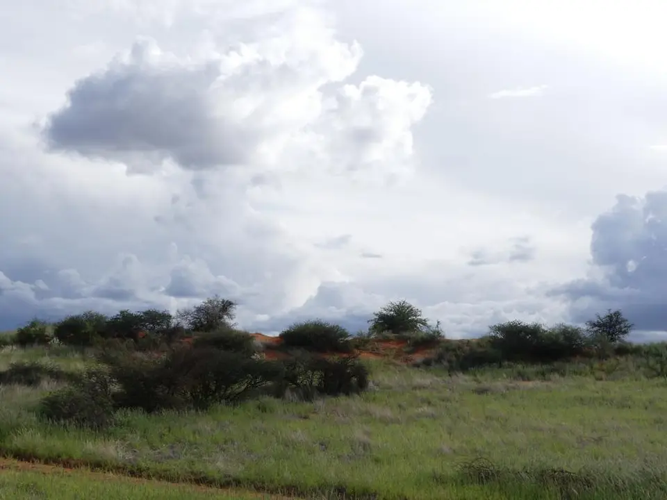 Namibia22Lumix(1048).JPG