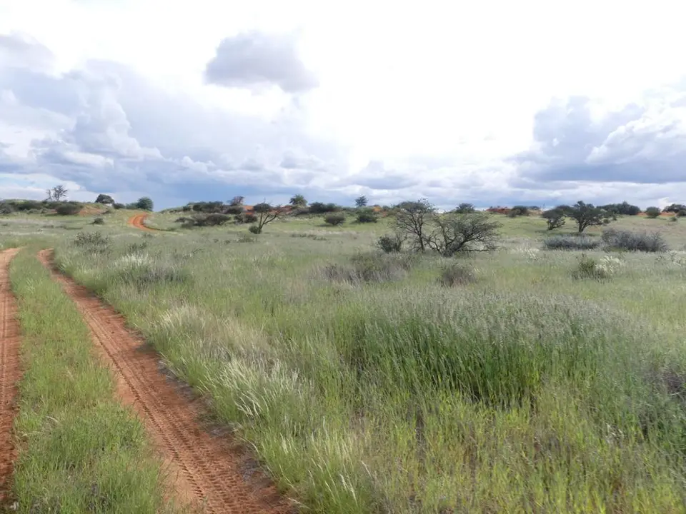 Namibia22Lumix(1050).JPG
