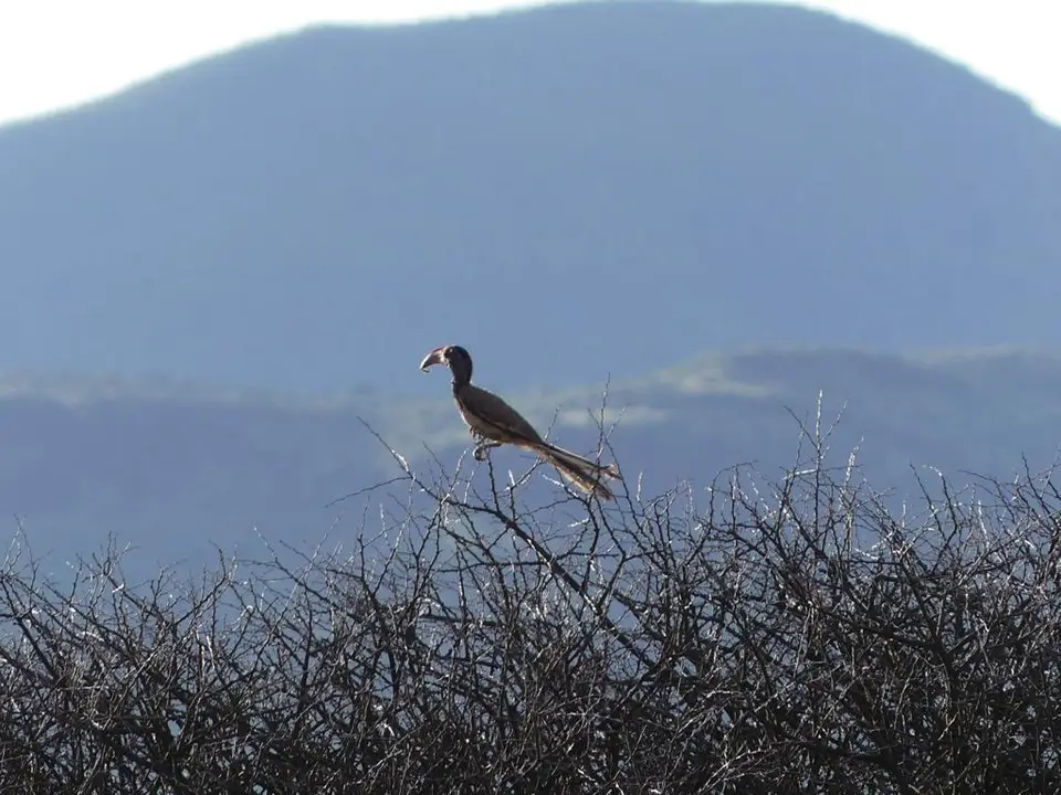 Namibia22Lumix(54).JPG