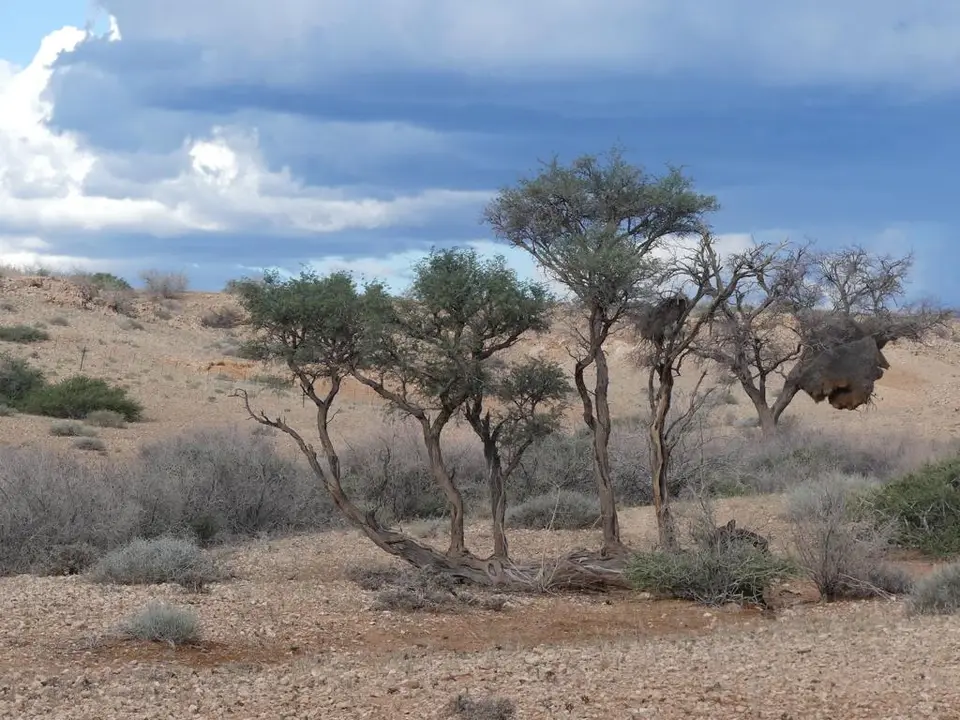 Namibia22Lumix(824).JPG