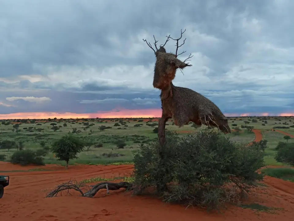 NamibiaSilviaHandy(717).JPG