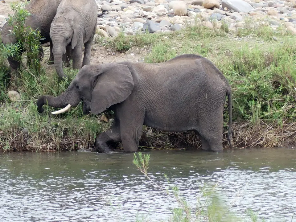 Südafrika(328).JPG