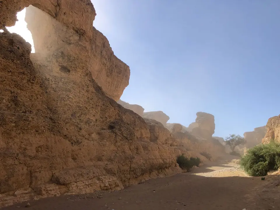 canyon_staub.jpg