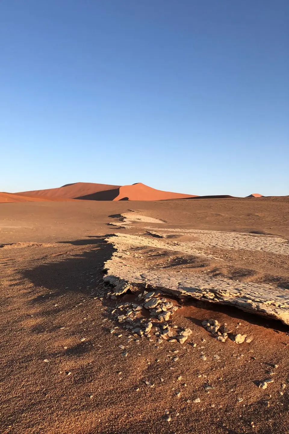 w_hiddenvlei2.jpg