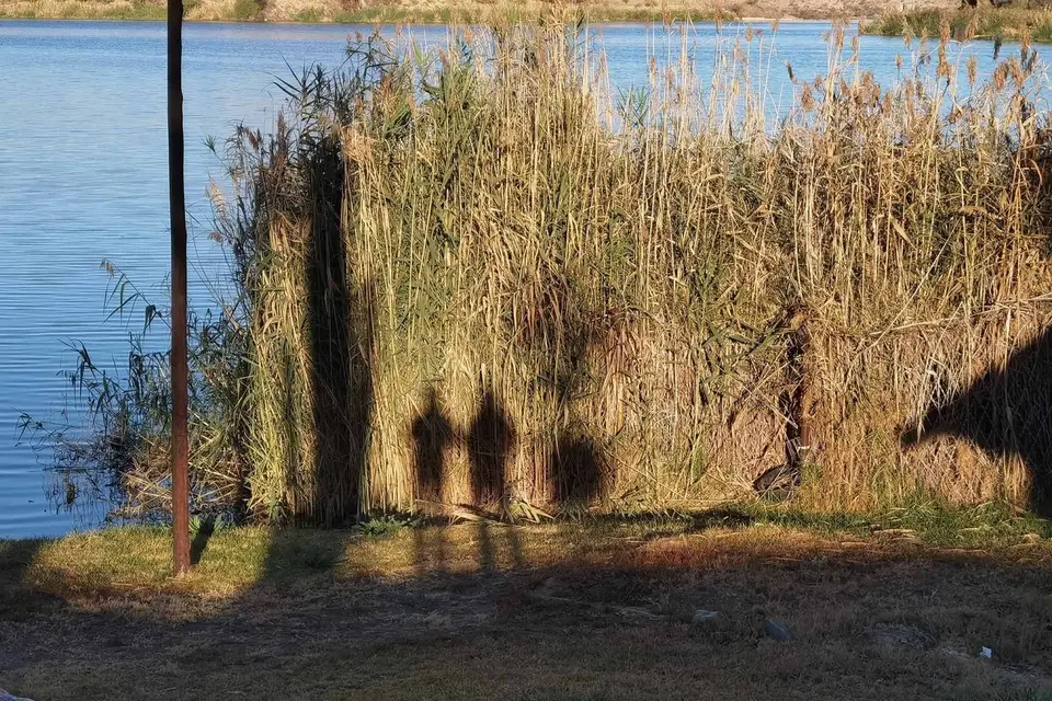 w_schatten_on.jpg