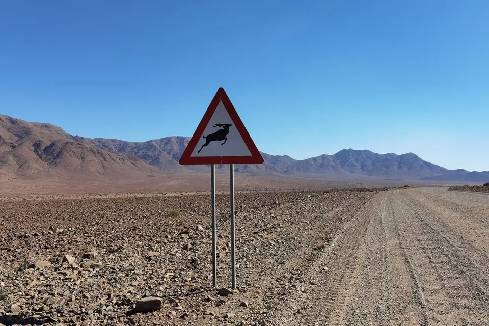 w_schild_Kudu.jpg