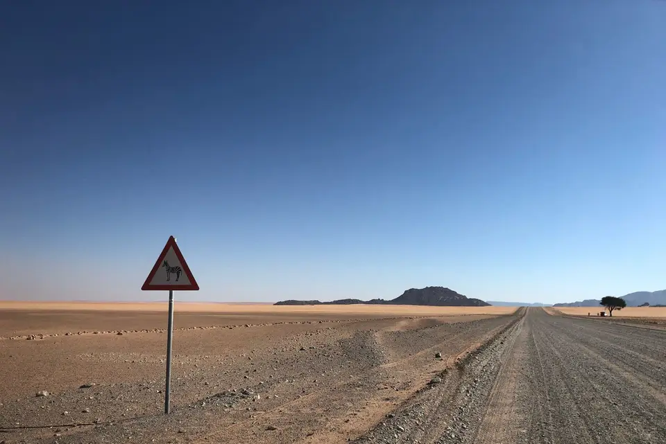 w_schild_zebra.jpg