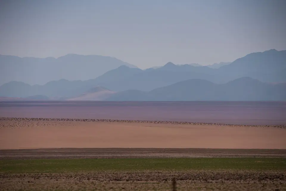 w_streifenlandschaft.jpg