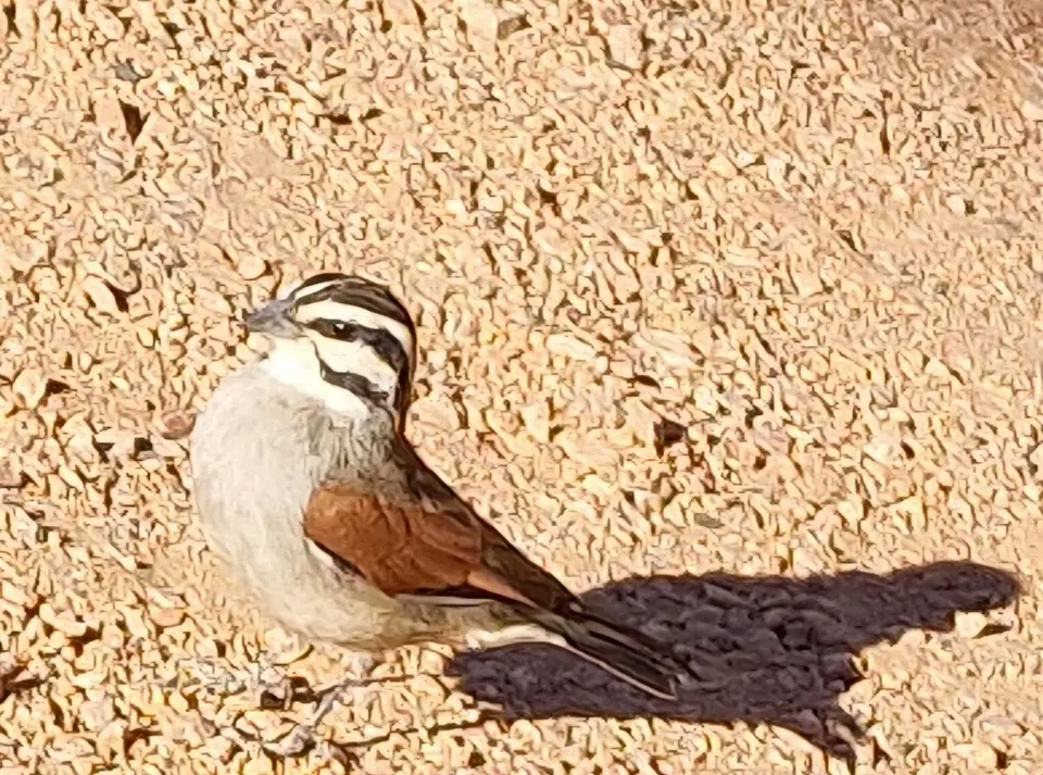 20240422_085006.jpg