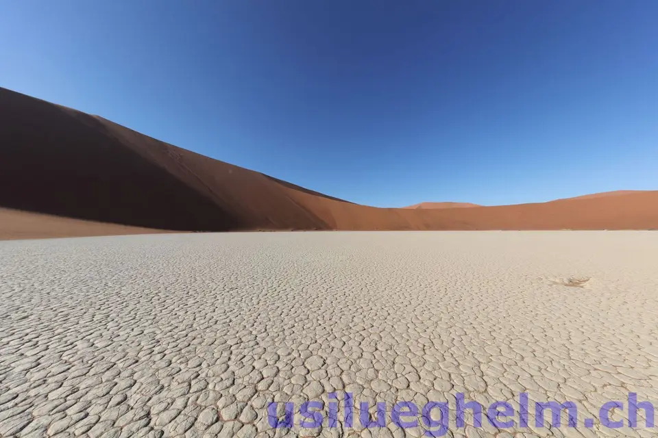5DS_4912_xn_wm.jpg