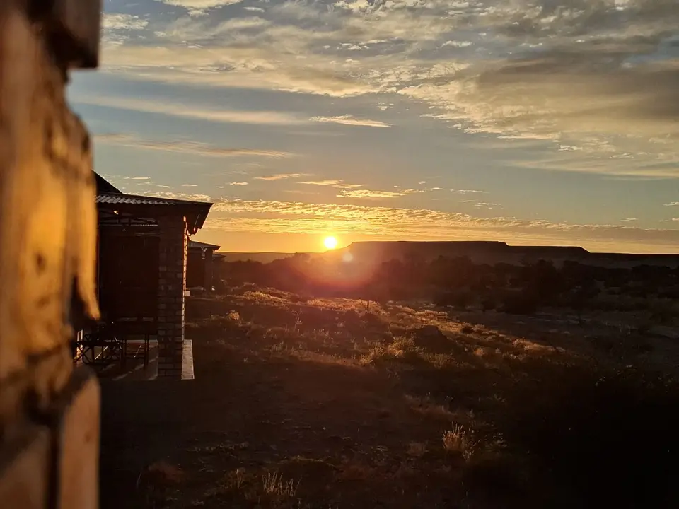 20260615_074736.jpg