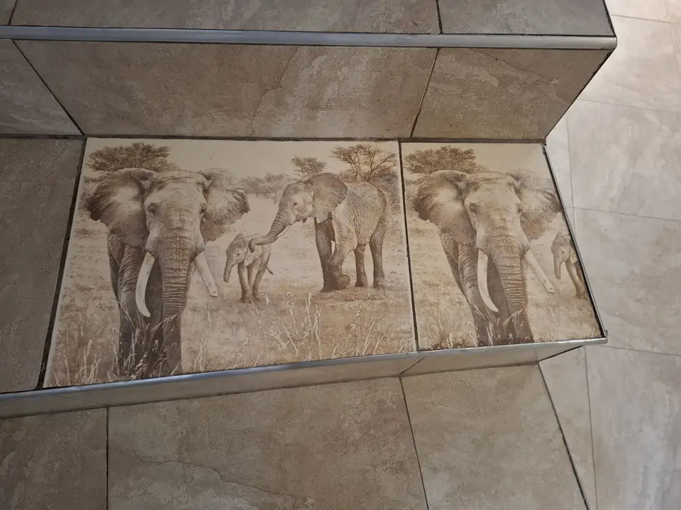 20260630_080222.jpeg