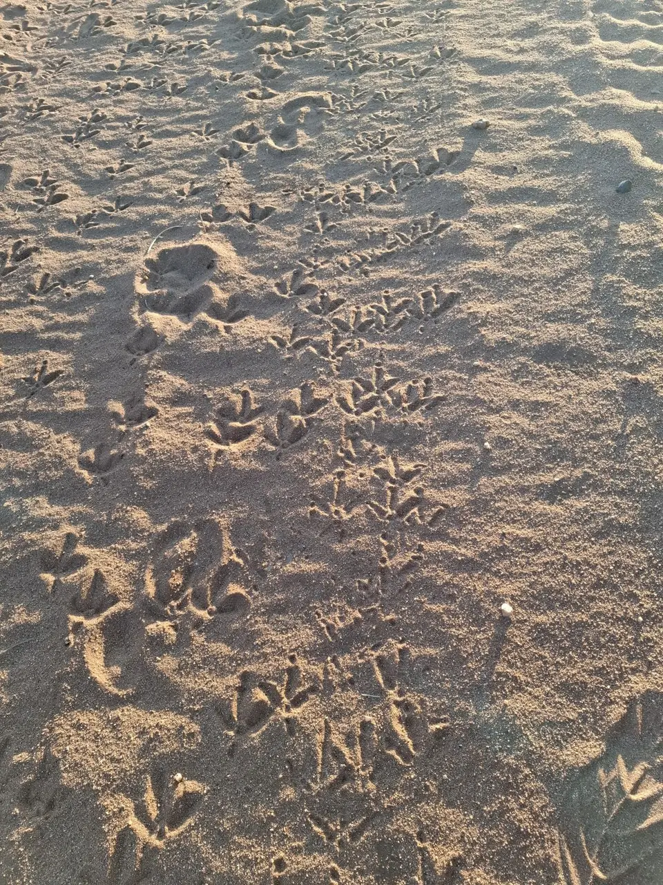 20260702_174744.jpg