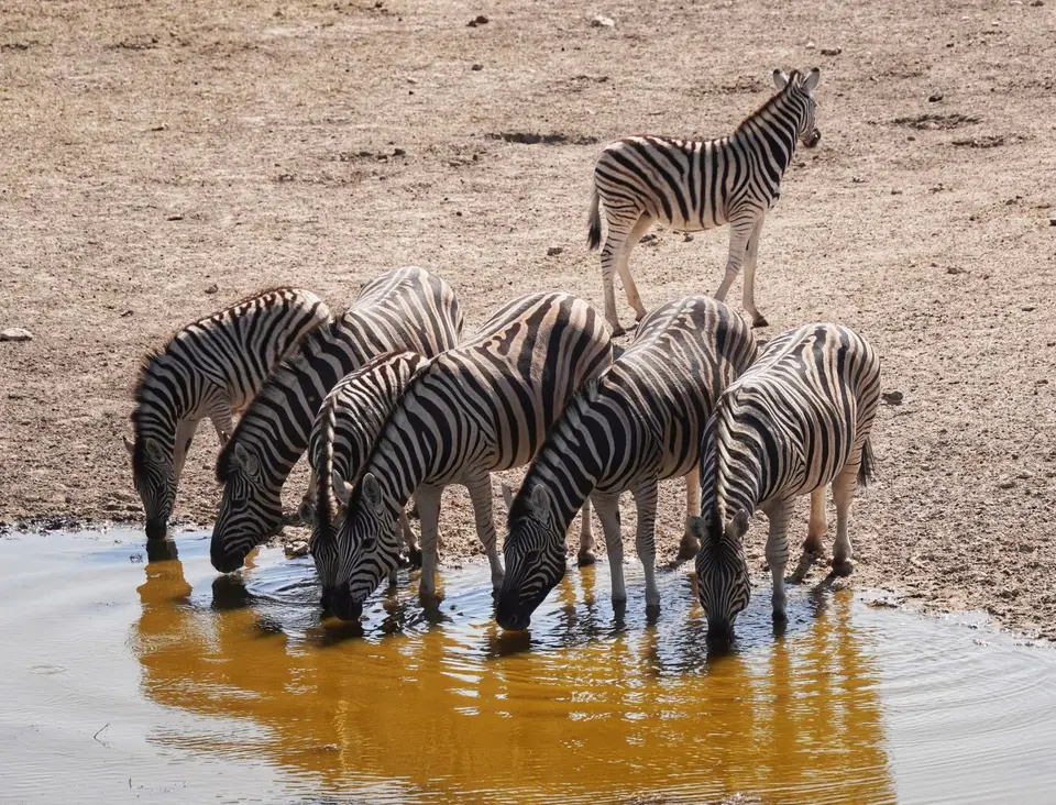 DSA06307.jpeg