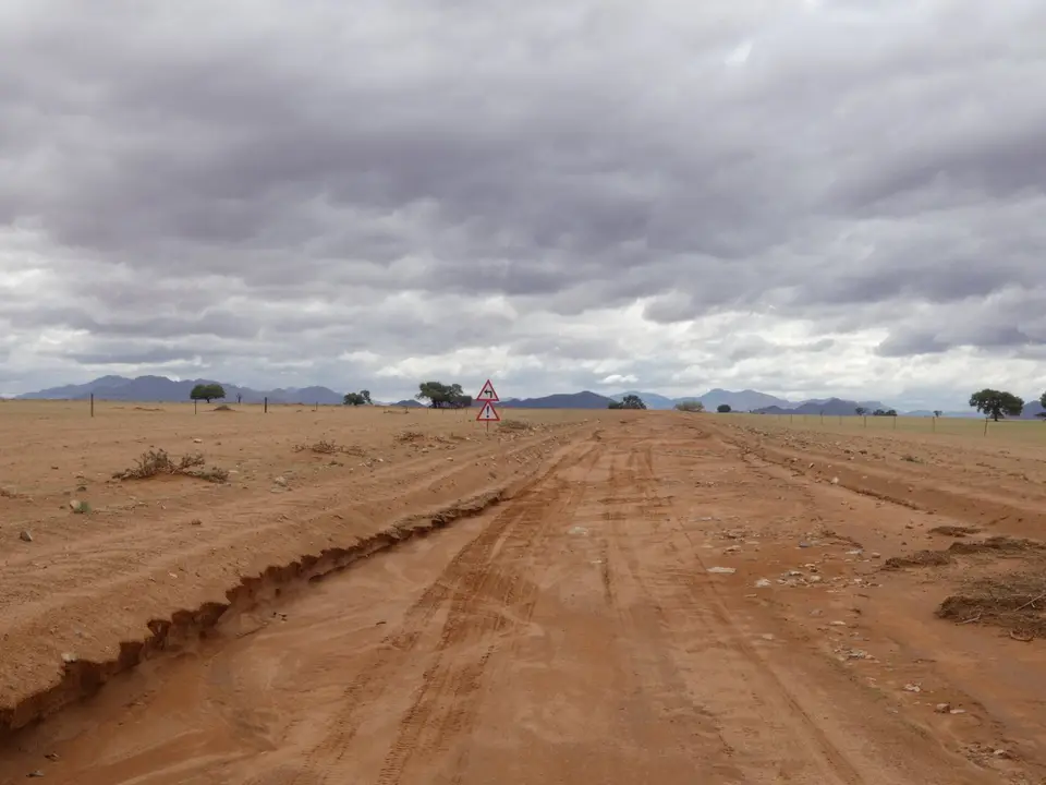 P1000527-l.jpg