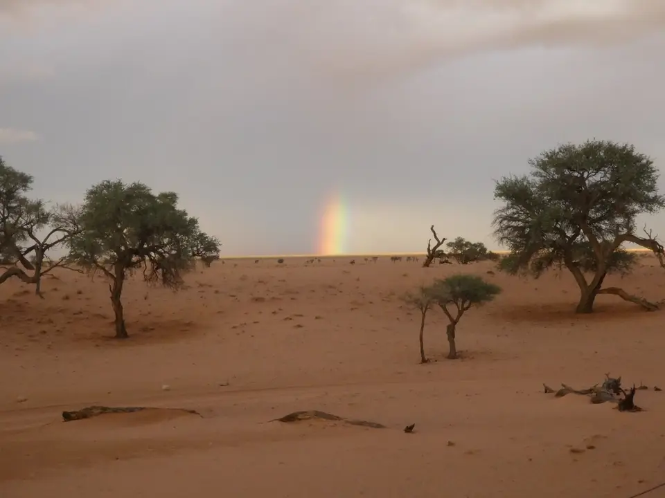 P1000604-l-2.jpg
