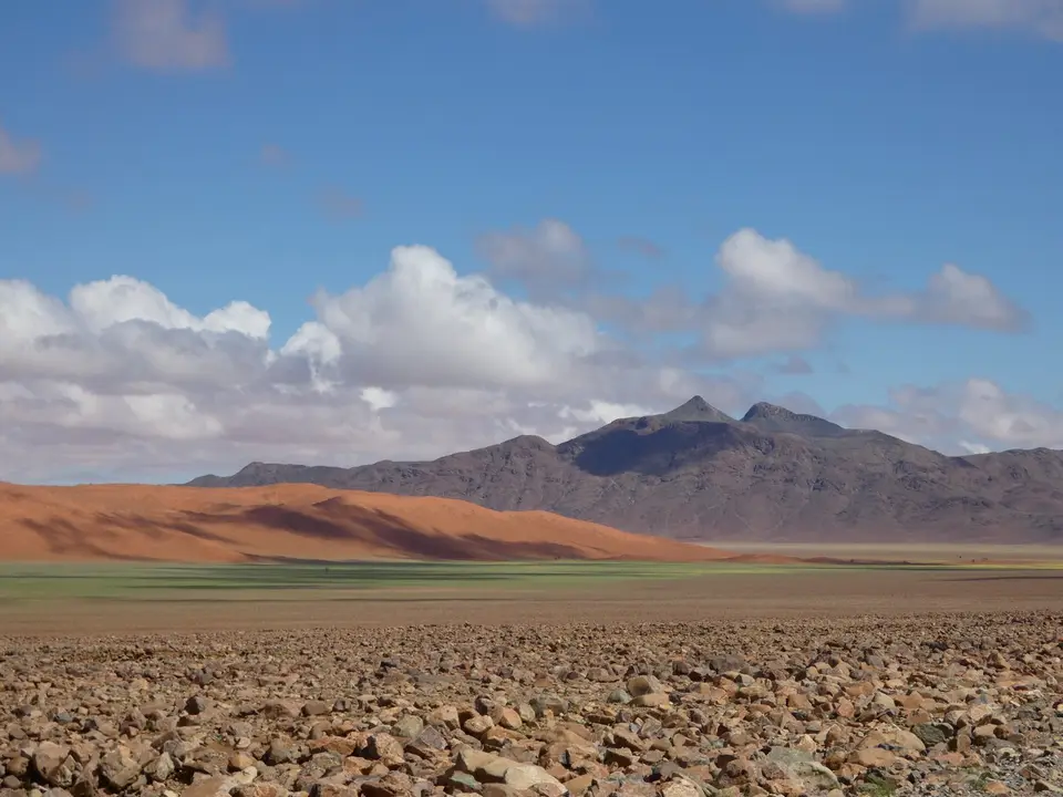 P1000614-l.jpg