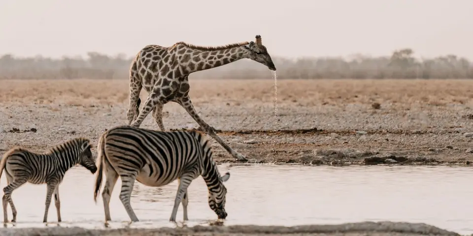 reisebericht_23-4.jpg