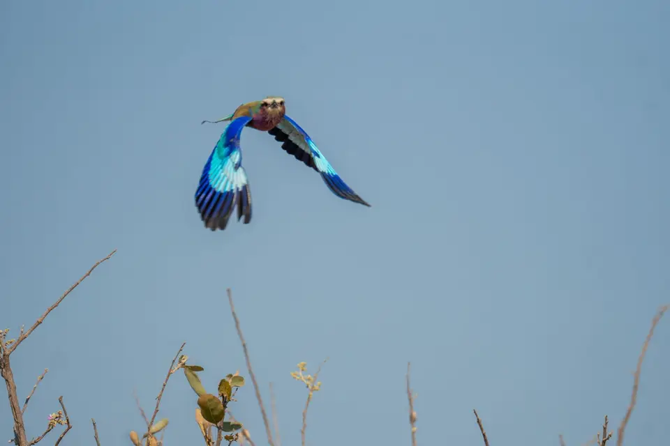 DSC00423.jpg
