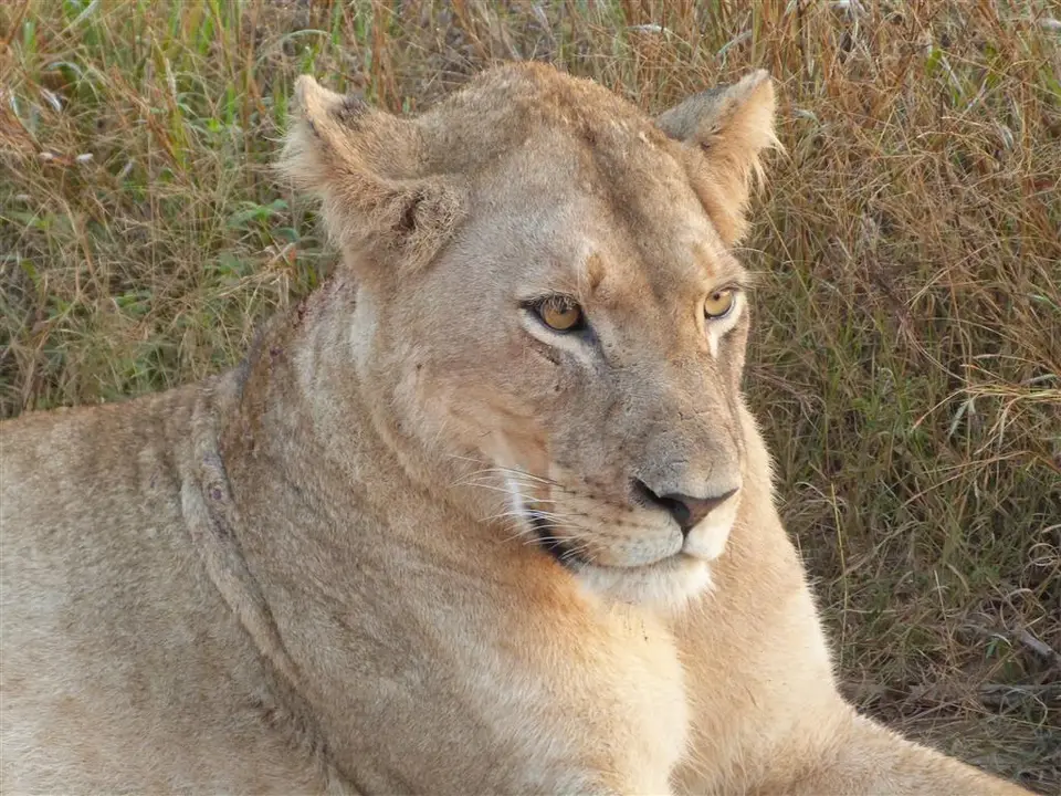 h1aba4f8_2015-06-24.JPG