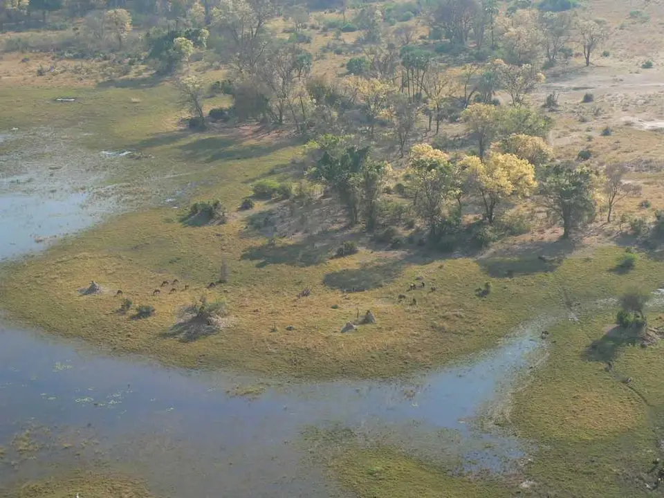 Okavangodelta.JPG