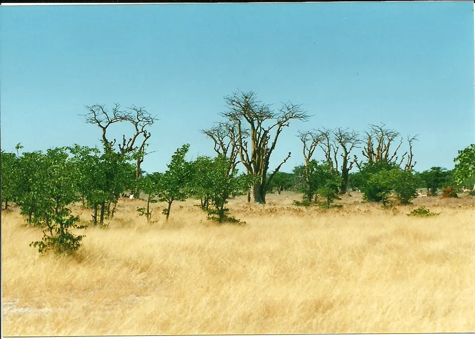 h04251e4.jpg