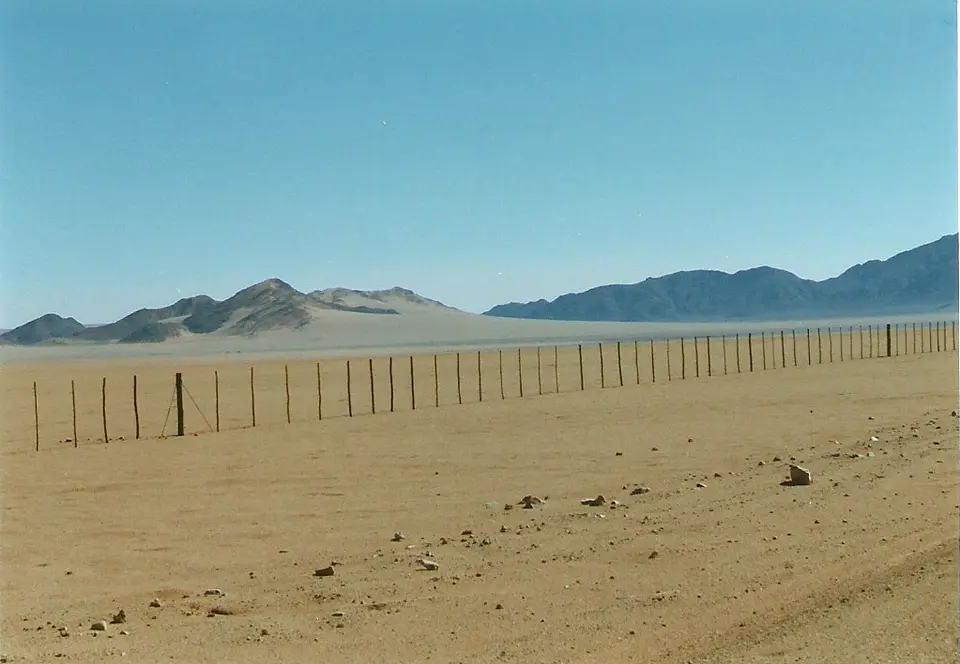 h7329c24.jpg