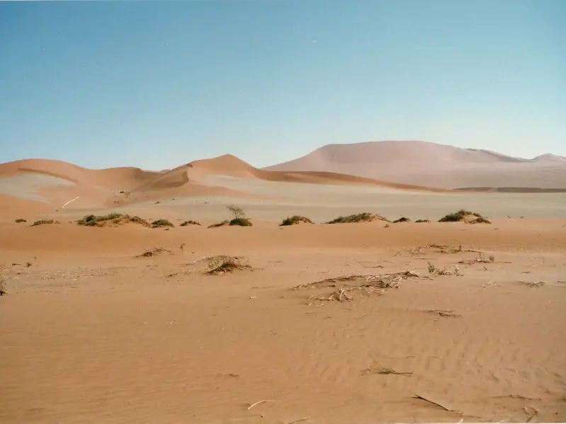 h7de6082.jpg
